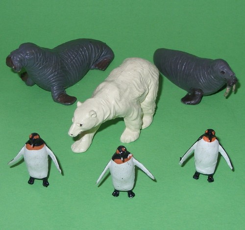 Britains zoo polar - zoo,